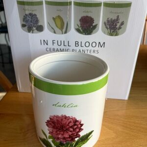 Sullivan Home Decor planters